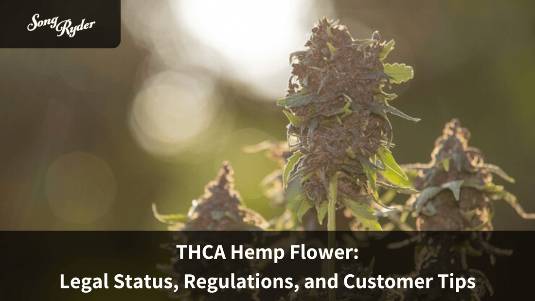THCA Hemp Flower: Legal Status, Regulations, and Customer Tips - Song Ryder