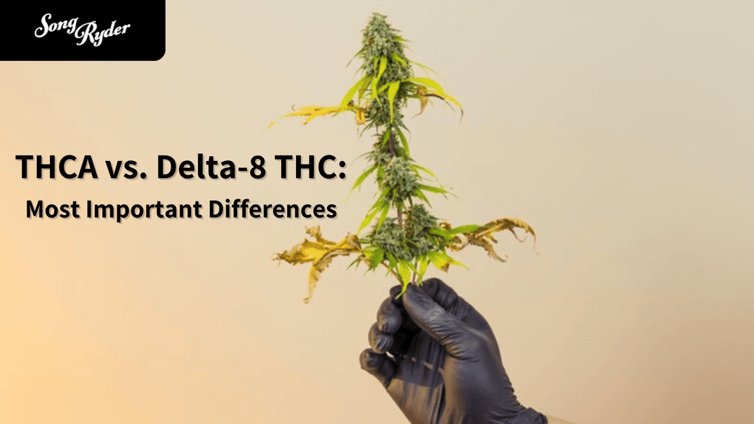 THCA vs. Delta-8 THC: Most Important Differences - Song Ryder