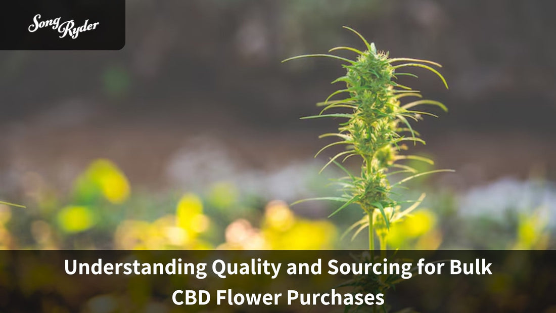 Understanding Quality and Sourcing for Bulk CBD Flower Purchases - Song Ryder
