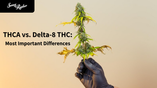 THCA vs. Delta-8 THC: Most Important Differences