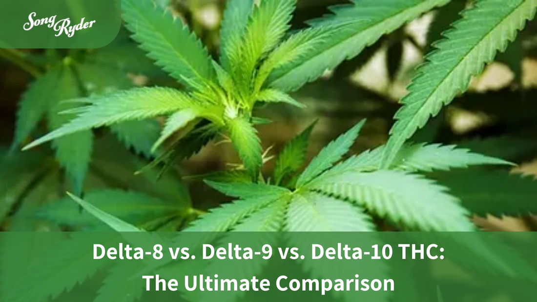 Delta-8 vs. Delta-9 vs. Delta-10 THC: The Ultimate Comparison