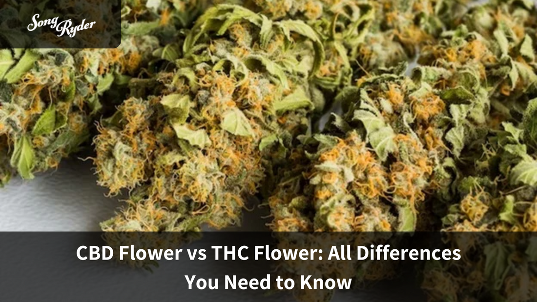 cbd hemp flower vs thc flower