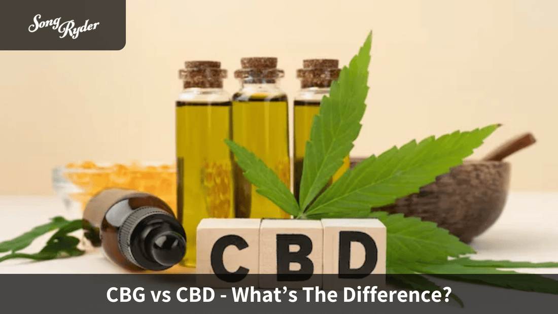 CBG vs CBD - What’s The Difference? - Song Ryder