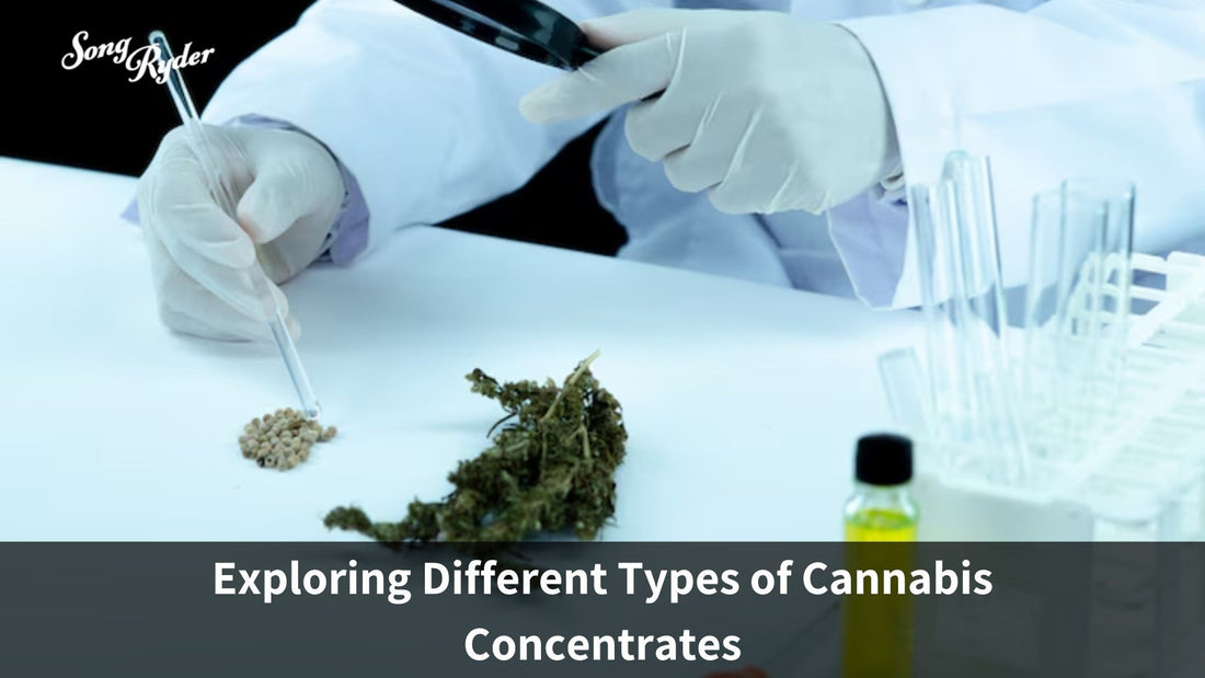 Exploring Different Types of Cannabis Concentrates - Song Ryder