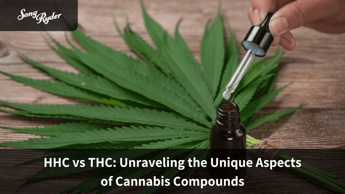 HHC vs THC: Unraveling the Unique Aspects of Cannabis Compounds - Song Ryder