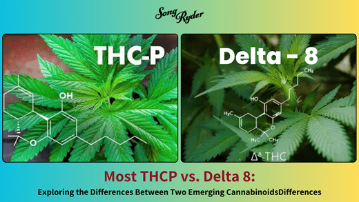 THCP vs. Delta 8: Exploring the Differences Between Two Emerging Cannabinoids - Song Ryder