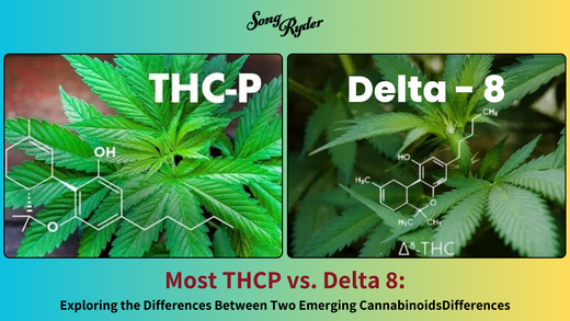 thcp vs delta-8