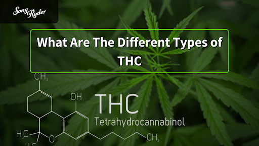 What Are The Different Types of THC?